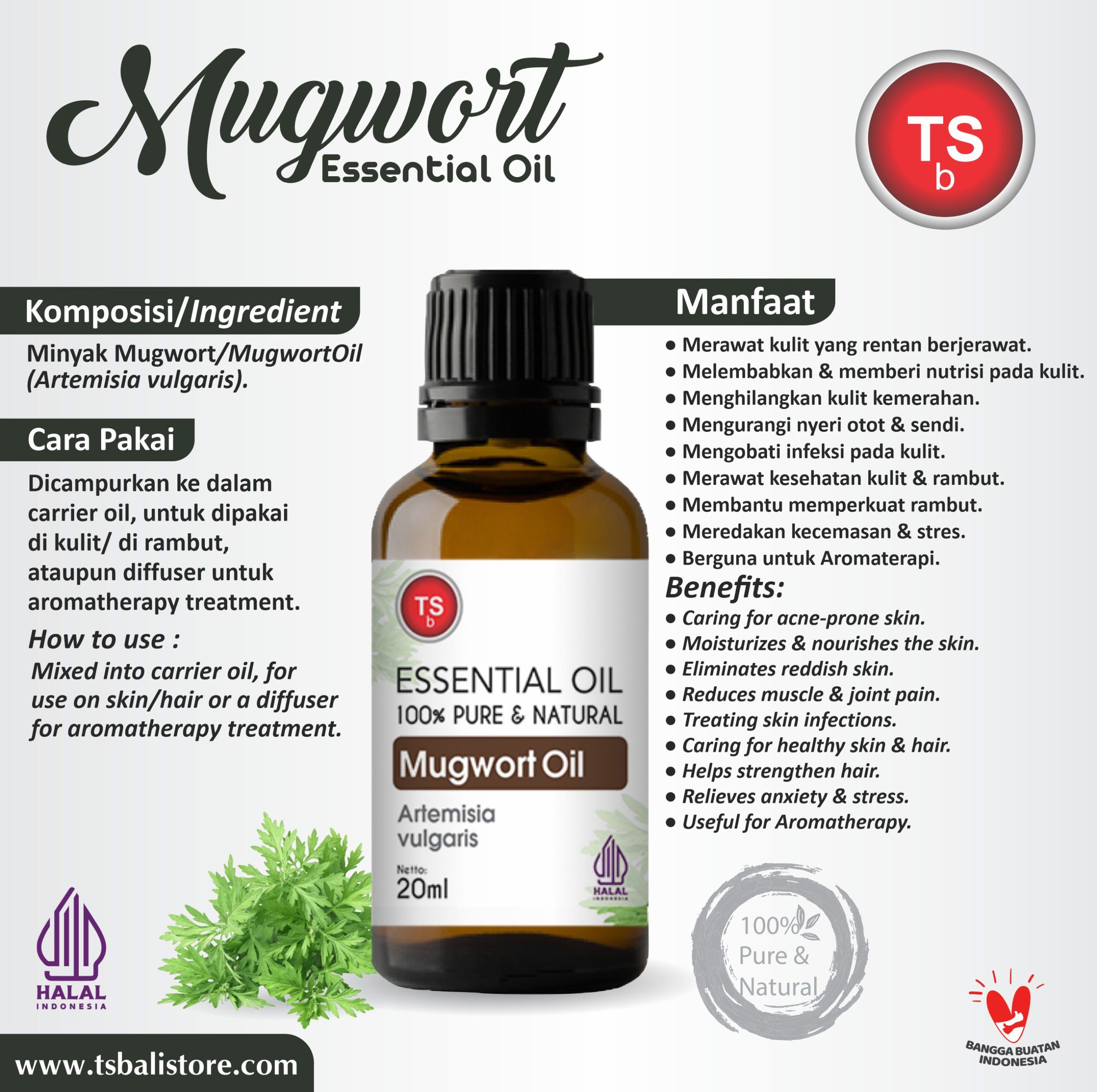 Mugwort Essential Oil – Minyak Mugwort - Image 2