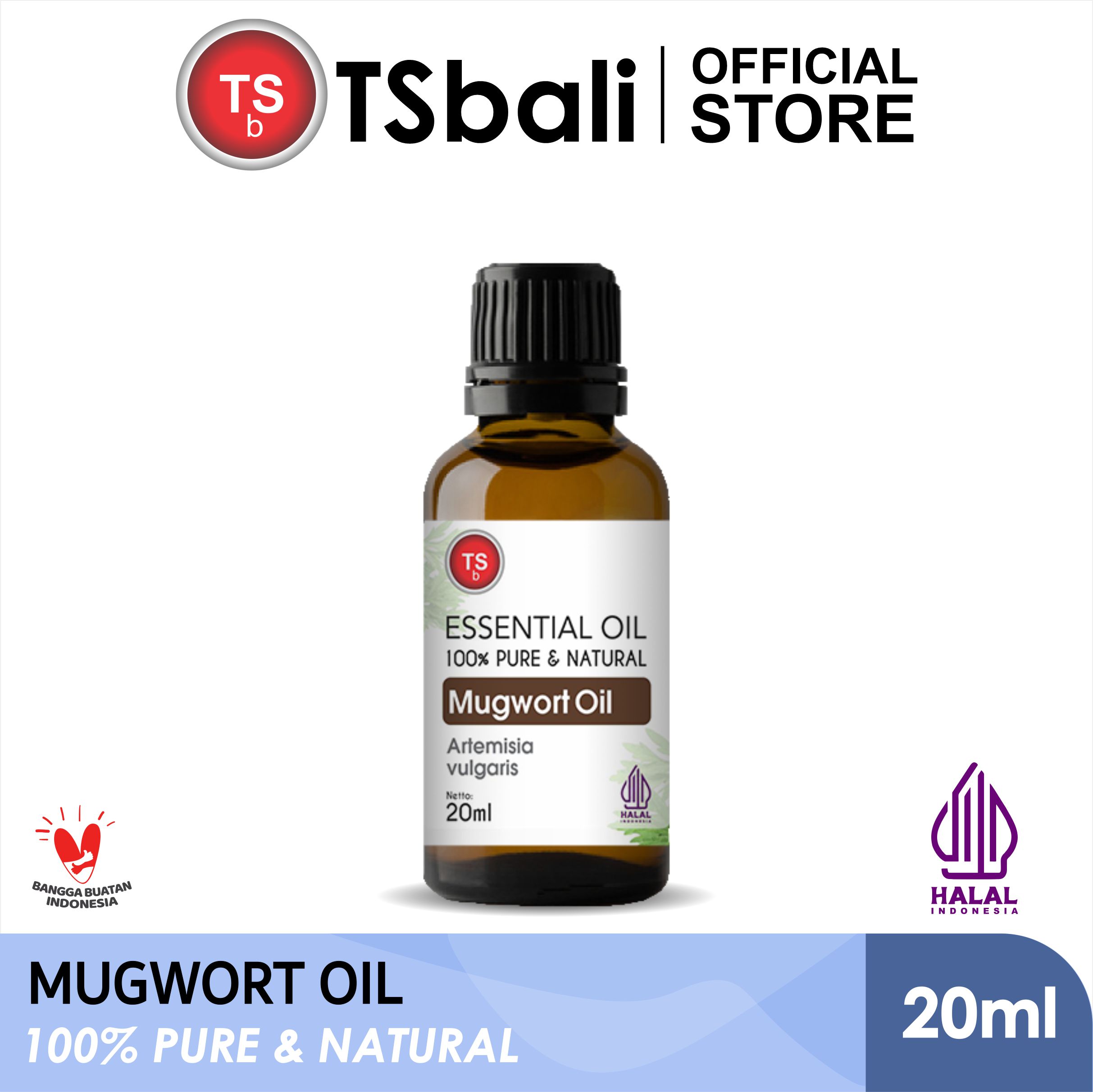 Mugwort Essential Oil – Minyak Mugwort
