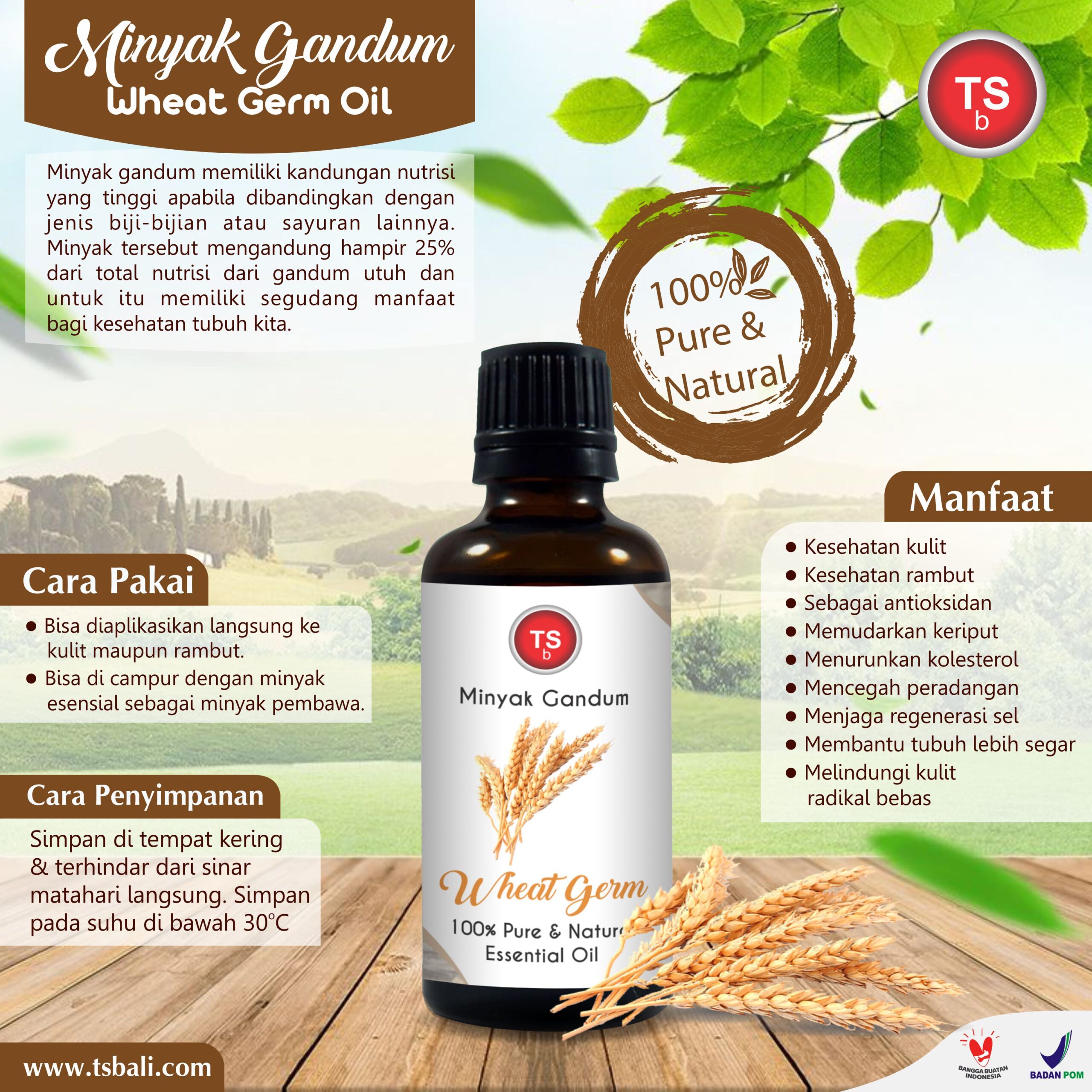 Minyak Gandum - Wheat Germ Essential Oil - Image 2