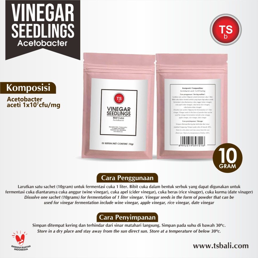 TSb Bibit Vinegar / Bakteri Acetobacter Aceti / Vinegar Seedlings 10gr - Image 2
