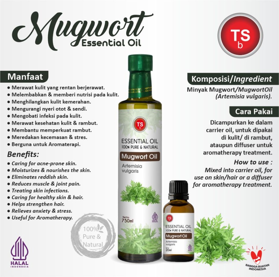 TSb Mugwort Essential Oil Diffuser Humidifier | Minyak Esensial | Air Purifier Aromatherapy Oil EO 750ml - Image 2