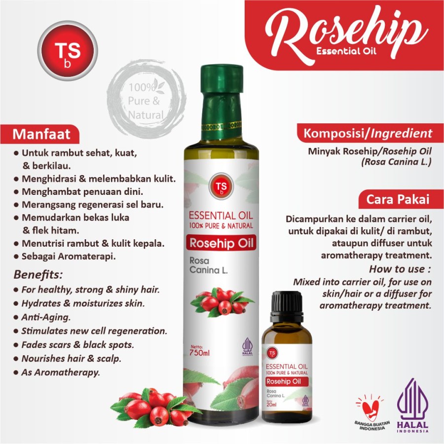 TSb Rosehip Essential Oil Diffuser Humidifier | Minyak Esensial | Air Purifier Aromatherapy Oil EO 750ml - Image 2