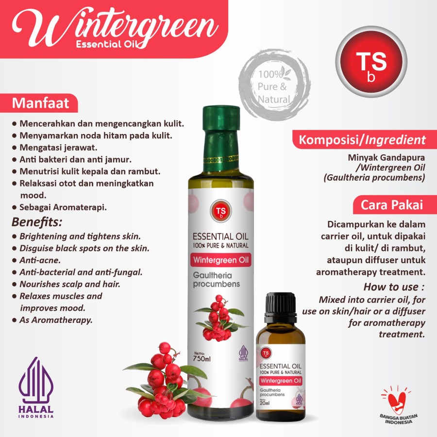TSb Wintergreen Essential Oil Diffuser Humidifier | Minyak Esensial | Air Purifier Aromatherapy Oil EO 750ml - Image 2